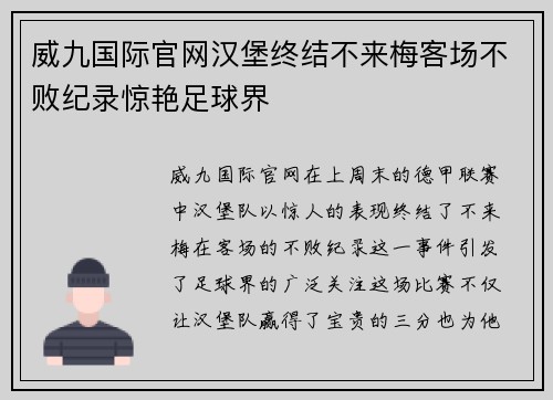 威九国际官网汉堡终结不来梅客场不败纪录惊艳足球界